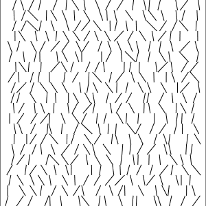 d02052025