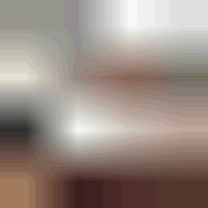 d04042025